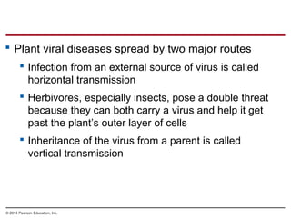 © 2014 Pearson Education, Inc.
 Plant viral diseases spread by two major routes
 Infection from an external source of virus is called
horizontal transmission
 Herbivores, especially insects, pose a double threat
because they can both carry a virus and help it get
past the plant’s outer layer of cells
 Inheritance of the virus from a parent is called
vertical transmission
 