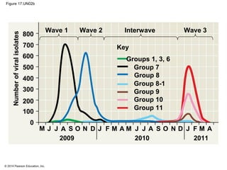 © 2014 Pearson Education, Inc.
Figure 17.UN02b
Wave 1 Wave 2 Wave 3Interwave
Key
Groups 1, 3, 6
Group 7
Group 8
Group 8-1
Group 9
Group 10
Group 11
800
700
600
500
400
300
200
100
0
Numberofviralisolates
M J
2009
J A S O N D J F M A M J J A S O N D J F M A
2010 2011
 