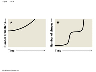 © 2014 Pearson Education, Inc.
Figure 17.UN04
A B
TimeTime
Numberofbacteria
Numberofviruses
 