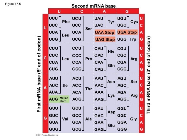 download mathematische behandlung naturwissenschaftlicher probleme teil 2 differential und integralrechnung eine einführung für chemiker und andere naturwissenschaftler