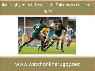 live rugby match Newcastle Falcons vs Leicester
Tigers
www.watchonlinerugby.net
 