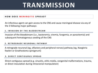 TRANSMISSION
H O W D O E S M E N I N G I T I S S P R E A D ?
An infectious agent can gain access to the CNS and cause meningeal disease via any of
the 3 following major pathways:
Direct contiguous spread (e.g. sinusitis, otitis media, congenital malformations, trauma,
or direct inoculation during intracranial manipulation)
1 . I N V A S I O N O F T H E B L O O D S T R E A M
Invasion of the bloodstream (i.e., bacteremia, viremia, fungemia, or parasitemia) and
subsequent hematogenous seeding of the CNS
2 . R E T R O G R A D E N E U R O N A L PAT H W AY
A retrograde neuronal (eg, olfactory and peripheral nerves) pathway (eg, Naegleria
fowleri or Gnathostoma spinigerum)
3 . D I R E C T C O N T I G U O U S S P R E A D
 