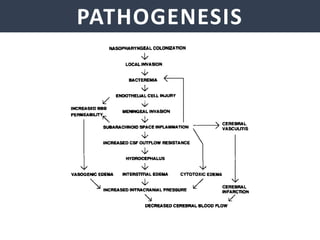 PATHOGENESIS
 