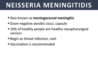 NEISSERIA MENINGITIDIS
 Also known as meningococcal meningitis
 Gram negative aerobic cocci, capsule
 10% of healthy people are healthy nasopharyngeal
carriers
 Begin as throat infection, rash
 Vaccination is recommended
 