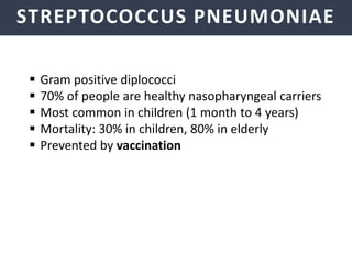 NEISSERIA MENINGITIDIS
STREPTOCOCCUS PNEUMONIAE
 Gram positive diplococci
 70% of people are healthy nasopharyngeal carriers
 Most common in children (1 month to 4 years)
 Mortality: 30% in children, 80% in elderly
 Prevented by vaccination
 