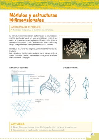 Módulos y estructuras
bidimensionales

 • Conoce y comprende el concepto de estructura.

La estructura interna existe en las formas de la naturaleza de
manera que las partes de un todo se relacionan entre sí. Las
partes se organizan de un modo específico con el fin de cum-
plir determinadas funciones. Cada elemento tiene una forma y
ocupa una posición en correspondencia con su función.

El módulo es una forma simple cuya repetición forma una es-
tructura.
Las estructuras pueden representarse como tramas, redes o
mallas de líneas, con las cuales podemos organizar y relacio-
nar formas más complejas.




Estructuras regulares                                            Estructura interna
  Módulo forma simple:
  cuadrado

                           Estructura, repetición
                           del cuadrado




                                 Módulo forma simple:
                                 triángulo




 1. Busca diferentes tipos de hojas dónde puedas observar la estructura interna.
 2. Representa en tu cuaderno las estructuras que has encontrado.
                                                                                      25
 