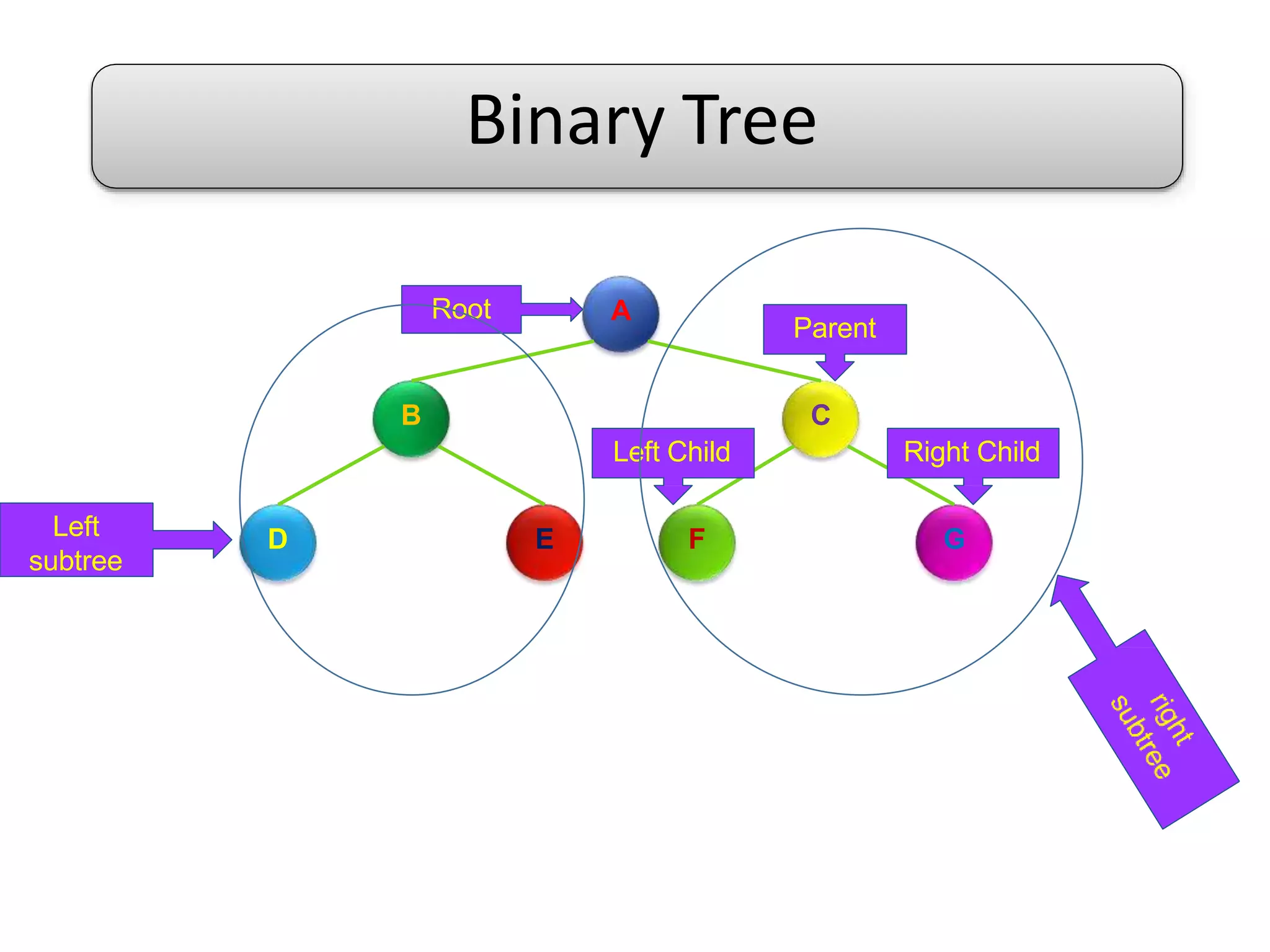 Binary Tree in Data Structure | PPTX
