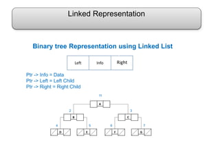 Linked Representation
Ptr -> Info = Data
Ptr -> Left = Left Child
Ptr -> Right = Right Child
A
B C
11
32
D E
54
F G
76
Left Info Right
Binary tree Representation using Linked List
y
 