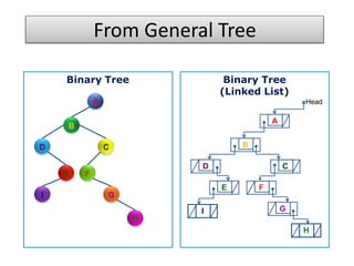 From General Tree
Binary Tree
(Linked List)
A
B
D
E F
C
I G
H
Head
Binary Tree
A
B
H
CD
E F
GI
 