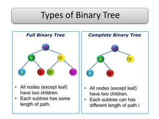 Binary Tree in Data Structure | PPTX