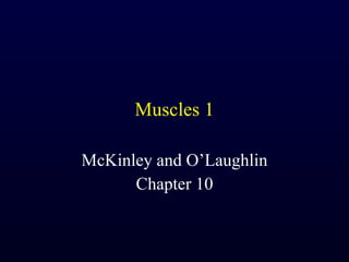 Muscles 1 McKinley and O’Laughlin Chapter 10 