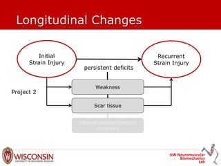 UW Neuromuscular
Biomechanics
Lab
Longitudinal Changes
Recurrent
Strain Injury
Initial
Strain Injury
persistent deficits
Weakness
Altered musculotendon
dynamics
Scar tissue
Project 2
 