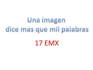 17 EMX

 
