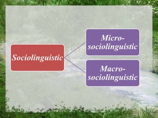 Sociolinguistic
Micro-
sociolinguistic
Macro-
sociolinguistic
 