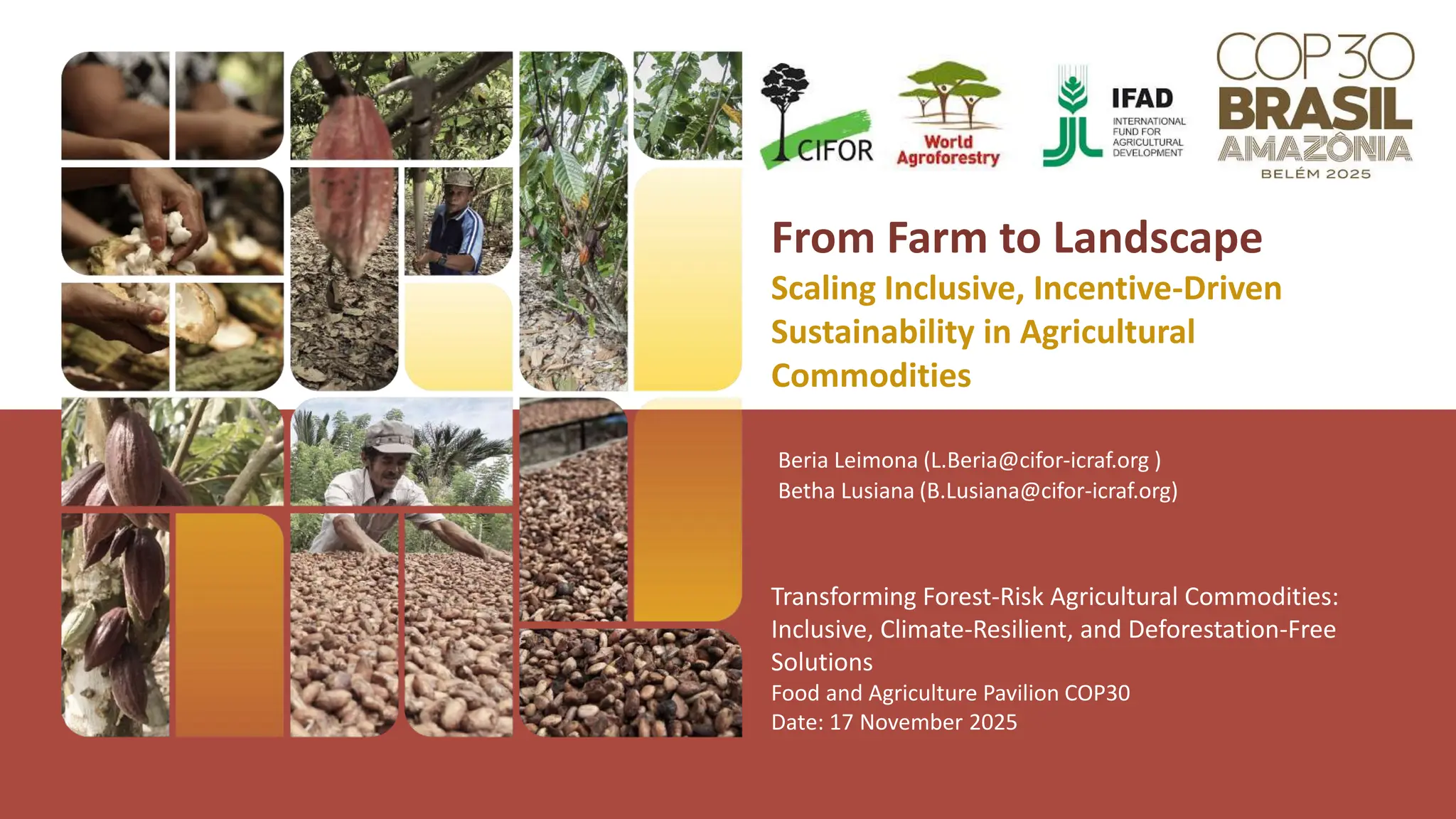 thumbnail of  From Farm to Landscape: Scaling Inclusive, Incentive-Driven Sustainability in Agricultural Commodities