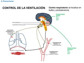 QUMIORRECEPTOR DE BULBO
PROTUBERANCIA
Diafragma y músculos respiratorio
C
R
QUMIORRECEPTOR
PERIFÉRICO DE
CUERPO CAROTÍDEO
QUMIORRECEPTOR
PERIFÉRICO DE
CAYADO DE LA AORTA
RECEPTOR DE
ESTIRAMIENTO DEL
PARENQUIMA
PULMONAR
CONTROL DE LA VENTILACIÓN.
Quiniorreceptor
Central
PaO2
PaCO2
pHa
Quiniorreceptor
periférico
PaO2
PaCO2
pHa
Centro respiratorio se localiza en
bulbo y protuberancia
6. Precauciones
 