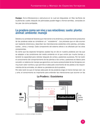 Fundamentos y Manejo de Especies forrajeras 
9 
Espiga: Es la inflorescencia o estructura en la cual van dispuestas en filas las flores de 
la planta las cuales después de polinizadas pueden llegar a formar semillas, conocidas en 
los pas- tos como cariópside. 
La pradera como ser vivo y sus relaciónes: suelo: planta: 
animal: ambiente: manejo 
Debido a la cantidad de factores que intervienen el la dinámica y comportamiento productivo 
de las praderas estas se consideran un “ ecosistema” . Los procesos que en ella ocurren 
son bastante dinámicos y describen las interrelaciones existentes entre plantas, animales, 
suelos , clima y manejo. Cada componente del sistema afecta o es afectado por los otros 
componentes. 
Es cierto que las especies forrajeras usadas hoy en día en nuestra praderas son las que 
se adaptan a las condiciones del medio ambiente en el que vivirán por mucho tiempo, y 
tendrán la capacidad para rebrotar después de cortes y pastoreos sucesivos. Por tal razón 
el conocimiento del comportamiento de las plantas a los cortes y pastoreos es básico para 
concebir un sistema de manejo que garantice una buena productividad de las forrajeras con 
muy buen valor nutritivo y que permita el adecuado crecimiento de los pastos a los requeri-mientos 
de los animales, sin alterar su persistencia de la pradera. 
Por esta razón es que el manejo adecuado de las praderas exige al mismo tiempo cien- cia 
y arte; el conocimiento es importante para entender las interacciones que ocurren en las 
La Pradera : Ecosistema 
Energía 
Proteína 
Productividad 
MANEJO 
CLIMA 
CO2 
Características 
Nutrientes 
Pasto de buena 
calidad y cantidad 
Hábito 
Exigencias 
Selección 
Utilización 
Irrigación 
Preservación 
Conservación 
Adecuación 
Interacciones en un sistema ecológico de pradera 
 