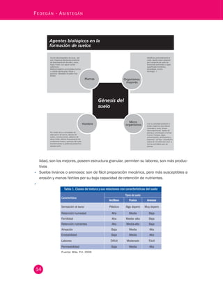 14 Fedegán - Asistegán Agentes biológicos en la 
formación de suelos 
Accion desintegradora de rocas, por 
Modifican profundamente el 
sust. Organicas disolventes producto 
suelo, dando mayor aireacion 
de descomposición de tallos, raices, 
por transporte de suelo de 
hojas, frutos..con agua= (acido 
horizontes profundos a capas 
carbonico), 
superficiales (lombrices, 
Material orgánico acumulado= humus 
escarabajos, ácaros, 
> coloide aporta prop. Fisicas y 
hormigas…) 
quimicas deseables al suelo= mas 
fertiles 
Con su actividad producen a 
ácidos orgánicos que alteran 
minerales y rocas, actuan 
descomponiendo tejidos de 
Por medio de sus actividades de 
plantas y contribuyen a formar 
adecuacion de tierras, laboreo de 
humus ( hongos, algas, 
suelos, construcciones, adelanto de 
actinomycetos, protozoarios y 
obras civiles, alteran forzosamente las 
bacterias.) las bact. (rhizobium) 
condiciones fisicas y quimicas del suelo 
reduce el n2>nh4>no2>no3 a 
transformando su potencial productivo 
formas asimilable para las 
agropecuario. 
plantas 
lidad, son los mejores, poseen estructura granular, permiten su laboreo, son más produc-tivos 
• Suelos livianos o arenosos: son de fácil preparación mecánica, pero más susceptibles a 
erosión y menos fértiles por su baja capacidad de retención de nutrientes. 
• 
Tabla 1. Clases de textura y sus relaciones con características del suelo 
Característica 
Tipos de suelo 
Arcilloso Franco Arenoso 
Sensación al tacto Plástico Algo áspero Muy áspero 
Retención humedad Alta Media Baja 
Fertilidad Alta Media- alta Baja 
Retención nutrientes Alta Media-alta Baja 
Aireación Baja Media Alta 
Erodabilidad Baja Media Alta 
Laboreo Difícil Moderado Fácil 
Permeabilidad Baja Media Alta 
Fuente: Mila, P.A. 2009 
 