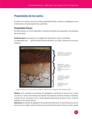 Fundamentos y Manejo de Especies forrajeras 
15 
Propiedades de los suelos 
El suelo es un cuerpo natural que posee propiedades físicas, químicas y biológicas que son 
la base para su manejo agronómico y ganadero. 
Propiedades físicas: 
Permiten planear en forma sostenible y racional las labores de preparación y las prácticas 
de conservación. 
Perfil del suelo: Corresponde a la configuración del suelo en capas u horizontes. 
La observación del perfil del suelo permite identificar su ori gen y determinar sus carac-terísticas. 
HORIZONTE (A) : capa arable con 
presencia de materia orgánica 
(humus), de color oscuro. 
HORIZONTE (B) : capa de 
intercambio, recibe lavado de 
minerales de horizonte A y 
contiene 
elementos que requieren las 
plantas. 
HORIZONTE (C) : capa de 
meteorización o alteración, 
fragmentos de roca de 
horizonte D. 
HORIZONTE (D) : o roca 
madre, generalmente 
sin alterar. 
Figura 5. Perfil de un suelo. Fuente: EL TIEMPO, 2005, El su elo, Ecologia & medio ambiente, Pg 30. 
Textura. Es la cantidad en porcentaje de agregados o partículas de arena, limo y arcilla 
que tiene un suelo y da la base para clasificar los suelos en arenosos, limosos o arcillosos, 
cuando los sue- los poseen más o menos iguales proporciones de arena, limo y arcilla se 
clasifican como suelos francos. 
Estructura. Es el grado de agregación de las partículas del suelo. El tipo de estructura se de-termina 
por el arreglo y ordenamiento de las partículas del suelo en forma, tamaño y grado 
 