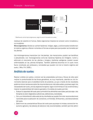 18 Fedegán - Asistegán Conejos 
Hormigas 
Ardillas 
Comejenes 
Topos 
Lombrices 
Minadores 
Ratones 
Larvas de insectos 
Macroorganismos 
Caracoles 
Babosas 
Cochinillas 
Ácaros 
No minadores 
Insectos (collembola) 
Clasificación de los macro-organismos, según la acción formadora de suelos 
residuos de cosecha en humus. Estos organismos mayores se conocen como minadores y 
no minadores. 
Micro-organismos: Donde se cuentan bacterias, hongos, algas, y actinomicetos transforman 
la materia orgánica y liberan nutrientes en formas simples para que puedan ser tomados por 
las plantas. 
Los microorganismos interactúan con las plantas, las interacciones pueden ser benéficas 
o perjudiciales. Los microorganismos como las bacterias fijadoras de nitrógeno, nutren y 
estimulan el crecimiento de las plantas y hongos y bacterias patógenas pueden causar 
enfermedades en las plantas forrajeras. También podemos encontrar en el suelo micro 
fauna constituida por protozoos y nematodos que pueden vivir de la materia orgánica del 
suelo. ( Mila, P.A. 2009 ) 
Análisis de suelos 
Realizar análisis de suelos y conocer así las propiedades químicas y físicas de ellos para 
mejorar la productividad de las fincas ganaderas, es muy importante, además es una he-rramienta 
esencial para el establecimiento de praderas, ya que a través de los resultados 
podemos tomar decisiones sobre las recomendaciones más adecuadas y precisas según las 
necesidades del suelo y de las especies forrajeras, lograr incrementos en los rendimientos y 
mejorar la sostenibilidad del sistema ganadero. El análisis de suelos permite: 
• Evaluar la capacidad del suelo para suministrar los elementos esenciales para las espe- cies 
forrajeras es decir diagnostica suficiencias, deficiencias y toxicidades. 
• Con una interpretación adecuada de los resultados se pueden formular recomendaciones 
racionales para la aplicación de correctivos, enmiendas, fertilizantes y acondicionadores 
del suelo. 
• Determinar las características físicas del suelo para aconsejar el empleo racional de ma-quinaria 
agrícola y las labores de labranza más recomendables, también permite definir 
 