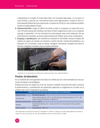 20 Fedegán - Asistegán y depositarla en el balde. El suelo debe estar con humedad adecuada ( ni muy seco, ni 
muy húmedo ), para Sp. de. crecimiento erecto como leguminosas ( muestra a 40 cm ) 
Para especies Rastreras como gramíneas ( muestra de 15-20 cm, las muestras se deben 
colocar en balde plástico limpio. 
6. Representatividad: Luego de definir las áreas o lotes a muestrear, en cada lote se to-man 
10 submuestras por hectárea, Se trazan líneas imaginarias al azar y en su trayecto 
(zig-zag, o espiralado ) se van tomando las submuestras cada cierta distancia. De las 
submuestras mezcladas, se toman aproximadamente 500 gr. para enviar a laboratorio. 
7. Empaque e identificación: Las muestras se empacan en las bolsas nuevas y limpias, Se 
colocan en cajas y se marcan con Número o nombre del lote, nombre del propietario, y su 
dirección. En un formato u hoja al interior, consignar información completa del cultivo a 
sembrar, topografía, localidad y tipo de análisis solicitado. 
Extracción de la submuestra en la Toma de muestra de suelos. Foto : Marcela Pabón A. 
Pruebas de laboratorio: 
En un contexto de suelo ganadero los tipos de análisis que son recomendados son los quí-micos, 
los físicos y los biológicos. 
Análisis químicos. Se realiza con el fin de conocer el estado nutricional del suelo; involucra 
la determinación y cuantificación de sustancias orgánicas e inorgánicas en el suelo; es el 
análisis más común realizado en la práctica. 
Análisis químicos de suelos más comunes ofrecidos por los laboratorios. 
Análisis químiicos Información reportada 
Caracterización Textura, Materia orgánica, ( M .O ) , pH, CIC, elementos mayores primarios ( N , P, K ) , elle-mentos 
mayores se cundarios ( Ca, Mg, Na, S ) 
Elementos menores ( E M ) Fe, Cu, Zn, Mn, B 
Salinidad Conductividad eléctrica ( C.E ) , textura, pH, CIC, Na, % de saturación de Na y prueba de 
carbonatos 
Análisis completo Caracteriizaciión + EM + CE 
CIC: Capacidad de intercambio catiónico; N: Nitrógeno; P: Fósforo; K: Potasio; Ca: Calcio; Mg: Magnesio; Na: Sodio; S: 
Azufre; Fe: Hierro; Cu: Cobre: Zn: Zinc; Mn: Manganeso; B: Boro. Fuente: Mila, P.A. 2009 
 