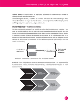 Fundamentos y Manejo de Especies forrajeras 
Análisis físicos: Su utilidad radica en que ofrece la información necesaria para conocer el 
comportamiento mecánico del suelo. 
Análisis biológicos: Analiza y cuantifica las unidades formadoras de colonias de hongos mico-rrízicos 
(formadores de mayor volumen de raíces ) , microorganismos nitrificantes ( f i jadores 
de Nitrógeno ) y microorganismos patógenos del suelo. 
Interpretaciones y recomendaciones: 
Con los resultados de laboratorio se procede a realizar las interpretaciones, a ajustar y pre-cisar 
las recomendaciones para un buen manejo de los suelos ganaderos. Se debe para eso 
contar con tablas referenciales y estandarizadas producto de la investigación que nos ayudan 
a entender y concluir sobre las necesidades de fertilización de un suelo en particular. La in-terpretación 
requiere de conocimiento, experiencia y sabiduría con el fin de asegurar un plan 
eficiente de abonamiento, (evitar errores en dosis, fuentes, épocas de aplicación que traducen 
costos innecesarios) . 
21 
Resultados de 
laboratorio 
Ajustar y precisar 
recomendaciones 
Buen manejo 
de suelos 
ganaderos 
Proceso para la int erpretación y recomendación de los resultados de laboratorio 
Químicas. Con la interpretación de los resultados del análisis de suelos, y los requerimientos 
nutritivos de los pastos, precisamos los correctivos y nutrientes necesarios para un buen 
establecimiento. 
Enmiendas 
Corrige 
desbalances de 
minerales 
Elementos 
tóxicos a plantas: 
Al, Mn, Fe y Na 
Fertilización 
Corrige 
deficiencias 
minerales 
Las raíces 
toman los 
nutrientes del 
suelo 
Efecto de enmiendas y la fertilización en los suelos 
 