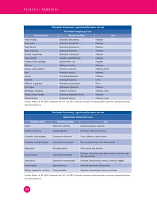 24 Fedegán - Asistegán Principales Gramíneas y Leguminosas forrajeras y su uso 
Gramíneas forrajeras y su uso 
Nombre comun Nombre científico Uso 
Pasto amargo Brachiaria decumbens Pastoreo 
Pasto dulce Brachiaria humidicola Pastoreo 
Pasto llanero Brachiaria dictyoneura Pastoreo 
Pasto marandú Brachiaria brizantha Pastoreo 
Acrania, russiziensis Brachiaria russiziensis Pastoreo 
Pasto estrella Cynodon plectostachyus Pastoreo 
Puntero, Uribe o yaraguá Hypharrhenia rufa Pastoreo 
Gordura Melinis minutiflora Pastoreo 
Guinea, india o saboyá Panicum maximum Pastoreo, Corte 
Pará Brachiaria mutica Pastoreo 
Janeiro Eriochloa polystachya Pastoreo 
Imperial Axonopus scoparius Corte 
Elefante, king grass Pennisetum purpureum Corte 
Carimagua Andropogum gayanus Pastoreo 
Mombaza y Tanzania Panicum maximum Pastoreo, corte 
Toledo, Vitoria, Xaraes Brachiaria brizantha GM-36 Pastoreo 
Híbrido Mulato Brachiaria Híbrido Pastoreo, corte 
Fuente: Pabón, A. M. 2007. Adaptado de CIAT. No.333. Especies forrajeras multipropósito: opciones paraproductores 
de Centroamérica. 
Principales Gramíneas y Leguminosas forrajeras y su uso 
Leguminosas forrajeras y su uso 
Nombre comun Nombre científico Uso 
Capica Stylosantes capitata Asociaciones para pastoreo 
Cratylia o veranera Cratylia argentea Ramoneo, corte, barrera viva 
Canavalia, frijol de playa Cannavalia ensiformis Corte, cobertura, abono verde 
Leucaena, acacia forrajera Leucaena leucocephala Bancos de proteína, corte, asociaciones 
Matarratón Gliricidia sepium Corte, cerca viva, sombrio 
Kudzú tropical Pueraria phaseoloides Pastoreo rotacional, corte, abono verde, cobertura vege-tal, 
asociaciones 
Desmodium Desmodium heterocarpon Pastoreo, asociaciones, erosion, cobertura vegetal 
Soya forrajera Glycine javanica Pastoreo rotacional, asociaciones 
Clitoria, campanita, conchita Clitoria ternatea Pastoreo, asociaciones, banco de proteína. 
Fuente: Pabón, A. M. 2007. Adaptado de CIAT. No.333. Especies forrajeras multipropósito: opciones paraproductores 
de Centroamérica. 
 