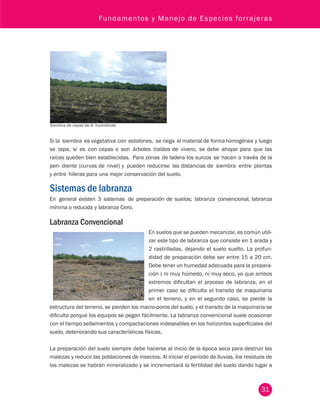 Fundamentos y Manejo de Especies forrajeras 
Si la siembra es vegetativa con estolones, se riega el material de forma homogénea y luego 
se tapa, si es con cepas o son árboles traídos de vivero, se debe ahoyar para que las 
raíces queden bien establecidas. Para zonas de ladera los surcos se hacen a través de la 
pen- diente (curvas de nivel) y pueden reducirse las distancias de siembra entre plantas 
y entre hileras para una mejor conservación del suelo. 
Sistemas de labranza 
En general existen 3 sistemas de preparación de suelos; labranza convencional, labranza 
mínima o reducida y labranza Cero. 
Labranza Convencional 
En suelos que se pueden mecanizar, es común utili-zar 
este tipo de labranza que consiste en 1 arada y 
2 rastrilladas, dejando el suelo suelto. La profun-didad 
de preparación debe ser entre 15 a 20 cm. 
Debe tener un humedad adecuada para la prepara-ción 
( ni muy húmedo, ni muy seco, ya que ambos 
extremos dificultan el proceso de labranza, en el 
primer caso se dificulta el transito de maquinaria 
en el terreno, y en el segundo caso, se pierde la 
estructura del terreno, se pierden los macro-poros del suelo, y el transito de la maquinaria se 
dificulta porque los equipos se pegan fácilmente. La labranza convencional suele ocasionar 
con el tiempo sellamientos y compactaciones indeseables en los horizontes superficiales del 
suelo, deteriorando sus características físicas. 
La preparación del suelo siempre debe hacerse al inicio de la época seca para destruir las 
malezas y reducir las poblaciones de insectos. Al iniciar el período de lluvias, los residuos de 
las malezas se habrán mineralizado y se incrementará la fertilidad del suelo dando lugar a 
31 
Siembra de cepas de B. humidícola 
 