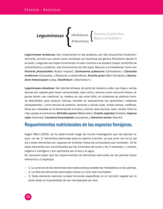 36 Fedegán - Asistegán Leguminosas Gramíneas 
Leguminosas 
Erectas 
Semierectas 
Decumbentes 
Rizomatosas 
Estoloníferas 
Herbáceas Rastrera Estolonífera 
Arbustivas 
Bejuco enredadera 
herbáceas: Son importantes en las praderas, por dos situaciones fundamen-talmente, 
primero sus raíces hacen simbiosis con bacterias del género Rhizobium fijando N 
al suelo, y segundo sus hojas incrementan el valor nutritivo a la pradera (mayor contenido de 
carbohidratos y proteína). Las encontramos de dos tipos: Bejucos o enredaderas: como son 
Pueraria phaseoloides (Kudzú tropical), Centrosema pubescens (Centosema) y Canavalia 
ensiformis (Canavalia), y Rastreras o estoloníferas: Arachis pintoi (Maní forrajero) y Desmo-dium 
heterocarpon subsp. Ovalifoilium ( Desmodium ) 
Leguminosas arbustivas: Son plantas leñosas, de porte de mediano a alto, sus hojas y ramas 
tiernas son usadas para hacer concentrados, para corte y acarreo como consumo fresco, al-gunas 
tienen uso medicinal, su madera se usa como leña, en ocasiones se produce heno, 
se deshidratan para producir harinas, también en asociaciones con gramíneas ( sistemas 
silvopastoriles ), como bancos de proteína, barreras o cercas vivas, rompe vientos, melíferas, 
Otras son utilizadas en la alimentación humana y animal, para bovinos, aves, cerdos. Entre la 
más usadas encontramos: Gliricidia sepium (Matarratón), Cratylia argentea (Cratylia), Cajanus 
cajan (Guandul), Leucaena leucocephala (Leucaena), y Samanea saman (Samán) 
Requerimientos nutricionales de las especies forrajeras. 
Según MILA (2009), se ha determinado luego de mucha investigación que las plantas re-quie- 
ren de 17 elementos esenciales para su óptima nutrición, ya que junto con la luz del 
sol y estos elementos son capaces de sintetizar todos los compuestos que necesitan. 14 de 
estos elementos son suministrados por los minerales del suelo y los 3 restantes ( c arbono, 
oxígeno e hidrógeno ) son aportados por el aire y el agua. 
Es necesario saber que los requerimientos de elementos esenciales de las plantas hacen 
referencia a 3 aspectos: 
• 1. La carencia de los elementos esenciales provoca problemas metabólicos en las plantas. 
• 2. La falta de elementos esenciales induce un ciclo vital incompleto. 
• 3. Cada elemento esencial cumple funciones específicas en la nutrición vegetal por lo 
tanto existe la imposibilidad de ser reemplazado por otro. 
 