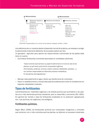 Fundamentos y Manejo de Especies forrajeras 
Macronutrientes 
Elementos mayores o 
primarios 
Micronutrientes 
Elementos secundarios Elementos menores 
•Nitrógeno (N) 
•Fósforo (P) 
•Potasio (K) 
•Carbono (C) 
•Oxigeno (O) 
•Hidrógeno (H) 
•Calcio (Ca) 
•Magnesio (Mg) 
•Azufre (S) 
•Boro (B) 
•Cloro (Cl) 
•Cobre (Cu) 
•Hierro (Fe) 
•Manganeso (Mn) 
•Zinc (Zn) 
•Molibdeno (Mo) 
•Cobalto (Co) 
Elementos indispensables en la nutrición de las plantas, Adaptado de MILA, ( 2 009) 
Una deficiencia de un nutriente afecta el desarrollo normal de la planta y es necesario corregir-la 
adicionando el elemento deficiente, No se puede sustituir por otro. 
Un ganadero - agricultor para aportar los requerimientos nutricionales de los pastos debe 
tener en cuenta: 
• Suministrar fertilizantes (nutrientes esenciales) en cantidades suficientes. 
37 
“Cada nutriente esencial tiene su papel fundamental en el ciclo de vida de las 
plantas, ya que hacen parte de los compuestos orgánicos 
(Aminoácidos, proteinas, enzimas, acidos nucleicos, fosfolipidos, pectatos…) y 
son tambien responsables de diferentes procesos metabólicos. 
En las plantas (biorreguladores).” 
• Manejar adecuadamente el agua, (factor que facilita toma de nutrientes) . 
• Hacer un establecimiento y manejo adecuado de praderas para evitar la competencia con 
especies indeseables (malezas). 
Tipos de fertilizantes 
Los fertilizantes son materiales orgánicos y de síntesis química que suministran a las plan-tas 
uno o más elementos químicos necesarios para su desarrollo y crecimiento (ICA 1992). 
En general las fuentes o tipos de fertilizantes empleados en la producción agropecuaria 
son: Los químicos, los orgánicos y los biológicos. 
Fertilizantes químicos. 
Según MILA, (2009), los fertilizantes químicos son compuestos inorgánicos o minerales 
que contienen uno o más nutrientes para las plantas, se obtienen en procesos industriales 
 