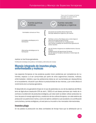 Fundamentos y Manejo de Especies forrajeras 
“Tiene como n emplear las fuentes 
disponibles de manera eciente 
sostenible y económica.” 
Inoculación de semillas (Activa Fijación N) 
Reciclaje dedesechos orgánicos y de cosecha 
Fertilizar a inicio y nal (época seca y evitar bajas en 
oferta de forraje) de época lluviosa. 
Fraccionar la fertilización (2 a 4 aplicaciones) 
Usar fuentes complejas de mezclas físicas (gránulos de 
similar tamaño) 
Uso de fuentes inórganicas en establecimiento Escorias 
Thomas 
Establecimiento de leguminosas forrajeras 
Uso de especies forrajeras tolerantes a niveles bajos de 
fertilización. 
43 
Fuentes químicas 
sintéticas 
Actividades rutinarias en nca 
Actividades estrat[egicas en la 
fertilización 
Alternativas estrat[egicas en la 
fertilización 
realizar en las fincas ganaderas. 
Fertilización estratégica de praderas. Actividades y alternativas de manejo 
Manejo integrado de insectos plaga, 
enfermedades y malezas 
Fuentes naturales 
ecológicas y orgánicas 
Las especies forrajeras en las praderas pueden tener problemas por competencia de nu-trientes, 
espacio o al ser consumidas por parte de otros organismos (insectos, malezas, 
enfermedades ) debido a que las poblaciones éstos se ven aumentadas por desequilibrios 
en el ecosistema, situación que afecta la productividad de las mismas, y por ende afecta el 
rendimiento de la empresa ganadera. 
El desarrollo de una ganadería limpia sin el uso de pesticidas es uno de los objetivos del Minis-terio 
de Agricultura (resolución 074 de abril / 2002) el cual desea promover por medio de in-centivos 
a la obtención de productos ecológicos, por esta razón se deben utilizar productos na-tura- 
les para el manejo agronómico y zootécnico de los cultivos forrajeros, con este sistema de 
producción se podría tener leche y carne de óptima calidad la cual accedería a la certificación 
como leches y carnes ecológicas y al aval para su incursión a los mercados internacionales. 
Insectos plaga 
En los pastos la producción de altas cantidades de forraje hace que la defoliación por la 
 