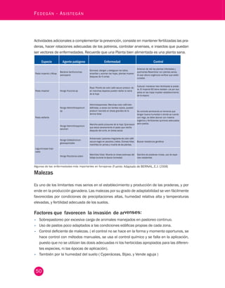 50 Fedegán - Asistegán Actividades adicionales a complementar la prevención, consiste en mantener fertilizadas las pra-deras, 
hacer rotaciones adecuadas de los potreros, controlar arvenses, e insectos que puedan 
ser vectores de enfermedades. Recuerde que una Planta bien alimentada es una planta sana. 
Especie Agente patógeno Enfermedad Control 
Pasto imperial y Micay Bacteria Xanthonomas 
axonoperis 
Gomosis: alargan y adelgazan los tallos, 
amarillan y acortan las hojas, plantas mueren 
despues de 4 cortes 
Arrancar de raíz las plantas infectadas y 
quemarlas.Resembrar con plantas sanas. 
Al usar abono orgánicos verificar que estén 
curados 
Pasto imperial Hongo Puccinia sp 
Roya: Polvillo de color café oscuro produci- do 
en manchas ásperas pueden dañar la vaina 
de la hoja 
Cultural: mantener bien fertilizada la prade-ra. 
El imperial 60 tiene resisten- cia por sus 
pelos en las hojas impiden establecimiento 
de la espora 
Pasto elefante 
Hongo Helminthosporium 
sp. 
Helmintosporiosis: Manchas color café bien 
definidas, a veces con bordes rojizos, pueden 
producir necrosis en áreas grandes de la 
lámina foliar 
Se controla sembrando en terrenos que 
tengan buena humedad o donde se cuente 
con riego, se debe abonar con materia 
orgánica y fertilizantes quimicos adecuados 
para pastos. 
Hongo Helminthosporium 
sacchari 
Mancha pardo púrpurea de la hoja: Quemazon 
que ataca severamente el pasto que retoña 
después del corte, en áreas secas 
Leguminosas tropi-cales 
Hongo Colletotrichum 
gloeosporiodes 
Antracnosis: Lesiones irregulares de color cáfé 
oscuro-negro en peciolos y tallos. Clorosis foliar, 
marchitez en yemas y muerte de las plantas. 
Buscar resistencia genética 
Hongo Rizoctonia solani Marchitez foliar: Muerte en áreas extensas del 
follaje durante la época húmedad. 
Siembra de praderas mixtas, uso de espe-cies 
resistentes 
Algunas de las enfermedades más importantes en forrajeras (Fuente: Adaptado de BERNAL, E.J. (2 008) 
Malezas 
Es uno de los limitantes mas serios en el establecimiento y producción de las praderas, y por 
ende en la producción ganadera. Las malezas por su grado de adaptabilidad se ven fácilmente 
favorecidas por condiciones de precipitaciones altas, humedad relativa alta y temperaturas 
elevadas, y fertilidad adecuada de los suelos. 
Factores que favorecen la invasión de arvenses: 
• Sobrepastoreo por excesiva carga de animales manejados en pastoreo continuo. 
• Uso de pastos poco adaptados a las condiciones edáficas propias de cada zona. 
• Control deficiente de malezas. ( el control no se hace en la forma y momento oportunos, se 
hace control con métodos manuales, se usa el control químico y se falla en la aplicación, 
puesto que no se utilizan las dosis adecuadas ni los herbicidas apropiados para las diferen-tes 
especies, ni las épocas de aplicación). 
• También por la humedad del suelo ( Cyperáceas, Bijao, y Vende aguja ) 
 