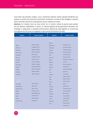 - Asistegán entre ellos hay insectos, hongos, virus y bacterias; además existen plantas benéficas que 
realizan la acción de control por cubrimiento, enriquecen el suelo al fijar Nitrógeno y aportar 
otros nutrientes durante la incorporación de sus residuos al suelo. 
Quemas: En nuestra zona es muy común en el verano utilizar la quema para acabar 
con las plantas indeseables e inducir un rebrote vigoroso de las gramíneas naturales. Sin 
embargo, a largo plazo y utilizada continuamente destruye la capa vegetal, se mueren los 
microrganismos del suelo encargados en gran parte del equilibrio de éste. 
54 Fedegán Especies Nombre científico Especies Nombre científico 
Gramíneas 
Maciega 
Rabo de zorro 
Guardarrocio L 
iendre de puerco 
Pata de gallina 
Paja comino 
Vende aguja 
Granadilla 
Pasto horqueta 
Gramalote 
Paja brava 
Caminadora 
Pasto Johnson 
Ciperáceas 
Paja cortadora 
Cortadera tolpatti 
Cortadera de boton 
Estrellita 
Cebolleta 
Arrocillo 
Fosforito 
Cortadera tres filos 
Paspalum virgatum 
Andropogon bicornis 
Digitaria sanguinalis 
Echinochloa colonum 
Eleusine indica 
Homolepsis aturensis 
Imperata contracta 
Panicum fasciculatum 
Paspalum conjugatum 
Paspalum fasciculatum 
Paspalum paniculatum 
Rottboellia exaltata 
Sorghum halepense 
Cyperus diffusus 
Cyperus ferax 
Cyperus luzulae 
Dichromena ciliata 
Eleocharis geniculata 
Fimbristylis annua 
Kyllinga brevifolia 
Scleria pterota 
Hoja Ancha 
Bledo liso 
Bledo espinoso 
Mata caballo 
Heliotropo 
Siempreviva 
Piñita 
Botón de oro 
Batatilla 
Balsamina 
Pimpinela 
Golondrina 
Bicho 
Zarza 
Lombricera 
Malva 
Cadillo 
Escoba 
Bijao 
Santamaria 
Verdolaga 
Botoncillo 
Pingramosa 
Venturosa 
Mortiño 
Martin galvis 
Achira 
Amaranthus dubius 
Amaranthus spinosus 
Asclepias curassavica 
Heliotropium indicum 
Commelina diffusa 
Murdania nudiflora 
Melampodium divaricatum 
Ipomea sp. 
Momordica charantia 
Euphorbia hirta 
Euphorbia hypericifolia 
Cassia tora 
Mimosa pigra 
Spigelia anthelmia 
Malachra alceifolia 
Pavonia fruficosa 
Sida sp 
Heliconia bihai 
Pothomorphe peltata 
Portulaca oleracea 
Borreria laevia 
Fleurya aestuans 
Lantana camara 
Clidemia hirta 
Cassia reticulata 
Canna coccinea 
 