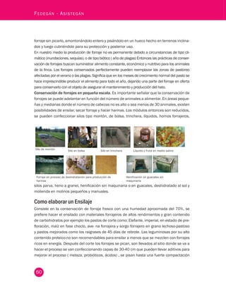 60 Fedegán - Asistegán forraje sin picarlo, amontonándolo entero y pisándolo en un hueco hecho en terrenos inclina-dos 
y luego cubriéndolo para su protección y posterior uso. 
En nuestro medio la producción de forraje no es permanente debido a circunstancias de tipo cli-mático 
(inundaciones, sequías), o de tipo biótico ( año de plagas) Entonces las prácticas de conser-vación 
de forrajes buscan suministrar alimento constante, económico y nutritivo para los animales 
de la finca. Los forrajes conservados perfectamente pueden reemplazar las zonas de pastoreo 
afectadas por el verano o las plagas. Significa que en los meses de crecimiento normal del pasto se 
hace imprescindible producir el alimento para todo el año, dejando una parte del forraje en oferta 
para conservarlo con el objeto de asegurar el mantenimiento y producción del hato. 
Conservación de forrajes en pequeña escala. Es importante señalar que la conservación de 
forrajes se puede adelantar en función del número de animales a alimentar. En áreas peque-ñas 
y medianas donde el número de cabezas no es alto o sea menos de 30 animales, existen 
posibilidades de ensilar, secar forraje y hacer harinas. Los módulos entonces son reducidos, 
se pueden confeccionar silos tipo montón, de bolsa, trinchera, líquidos, hornos forrajeros, 
Silo de montón Silo en bolsa Silo en trinchera Líquido y fruta en medio salino 
Forraje en proceso de deshidratación para producción de 
harinas 
Henificación en guacales sin 
maquinaria 
silos parva, heno a granel, henificación sin maquinaria o en guacales, deshidratado al sol y 
molienda en molinos pequeños y manuales. 
Como elaborar un Ensilaje 
Consiste en la conservación de forraje fresco con una humedad aproximada del 70%, se 
prefiere hacer el ensilado con materiales forrajeros de altos rendimientos y gran contenido 
de carbohidratos por ejemplo los pastos de corte como: Elefante, imperial, en estado de pre-floración, 
maíz en fase choclo, ave- na forrajera y sorgo forrajero en grano lechoso-pastoso 
y pastos mejorados como los raigrases de 45 días de rebrote. Las leguminosas por su alto 
contenido proteico no son recomendables para ensilar a menos que se mezclen con forrajes 
ricos en energía. Después del corte los forrajes se pican, son llevados al sitio donde se va a 
hacer el proceso se van confeccionando capas de 30-40 cm que pueden llevar aditivos para 
mejorar el proceso ( melaza, probióticos, ácidos) , se pisan hasta una fuerte compactación 
 