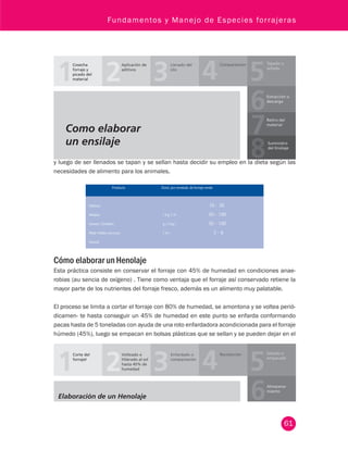 Fundamentos y Manejo de Especies forrajeras 
Cosecha 
forraje y 
picado del 
material 
Aplicación de 
aditivos 
Llenado del 
silo 
Compactación Tapado o 
sellado 
Extracción o 
descarga 
Retiro del 
material 
Suministro 
del Ensilaje 
y luego de ser llenados se tapan y se sellan hasta decidir su empleo en la dieta según las 
necesidades de alimento para los animales. 
61 
Producto Dosis por tonelada de forraje verde 
Aditivos 
Melaza 
Granos Cereales 
Maíz molido con tusa 
Azucar 
( k g ) ( k 
g ) ( k g ) 
( % ) 
10 ‑ 20 
50 ‑ 100 
50 ‑ 100 
3 ‑ 6 
Cómo elaborar un Henolaje 
Esta práctica consiste en conservar el forraje con 45% de humedad en condiciones anae-robias 
(au sencia de oxígeno) . Tiene como ventaja que el forraje así conservado retiene la 
mayor parte de los nutrientes del forraje fresco, además es un alimento muy palatable. 
El proceso se limita a cortar el forraje con 80% de humedad, se amontona y se voltea perió-dicamen- 
te hasta conseguir un 45% de humedad en este punto se enfarda conformando 
pacas hasta de 5 toneladas con ayuda de una roto enfardadora acondicionada para el forraje 
húmedo (45%), luego se empacan en bolsas plásticas que se sellan y se pueden dejar en el 
Corte del 
forrajel 
Volteado e 
Hilerado al sol 
hasta 45% de 
humedad 
Enfardado o 
compactación 
Recolección Sellado o 
empacado 
Almacena-miento 
 