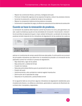 Fundamentos y Manejo de Especies forrajeras 
• Mejorar las condiciones físicas, químicas y biológicas del suelo 
• Promover el desarrollo vigoroso de las especies forrajeras y reducir los procesos erosivos 
• Aumentar la producción y calidad de forraje en las praderas 
• Mejorar la composición botánica de las praderas renovadas 
• Incrementar la capacidad de carga y la eficiencia productiva de los sistemas de producción 
Cuando se hace la renovación de praderas. 
La renovación de praderas debe hacerse cuando hay lluvias en la zona, para garantizar una 
ade- cuada humedad que ayude con las actividades de renovación: mecanización, intersiem-bra 
de semillas de especies de igual o mejor calidad, fertilización. La decisión de renovar las 
praderas también depende de los indicadores de degradación de las praderas los cuales se 
Pradera 
degradada 
Pastoreo a 
fondo con 
animales 
Desbrozado 
Labranza 
vertical con el 
renovado de 
praderas 
Intersiembra de 
enmiendas, 
correctivos y 
fertilizantes 
Pradera 
renovada en 
pastoreo 
Renovación de una 
pradera degradada 
estiman en condiciones de campo usando técnicas adecuadas. A continuación se enumeran 
los principales indicadores que determinan la necesidad de proceder a la renovación de los 
pastizales cuando han entrado en proceso de degradación. 
• Bajo desarrollo y vigor de los pastos 
• Baja producción y calidad de forraje 
• Invasión de malezas 
• Reducida profundidad efectiva para la penetración de raíces 
• Erosión del suelo 
• Acolchonamiento y alta cantidad de material vegetal improductivo 
• Disminución de la capacidad de carga 
• Descenso en la producción y productividad animal 
En la siguiente tabla se encuentran algunos indicadores de degradación establecidos para 
el piedemonte llanero y la altillanura colombiana, generados en pasturas de Brachiaria de-cumbens 
63 
bien manejadas y degradadas . 
Parámetros Pradera bien manejada Pradera degradada 
Forraje ( k g/ha MS/pastoreo ) 1200-1500 300-500 
 