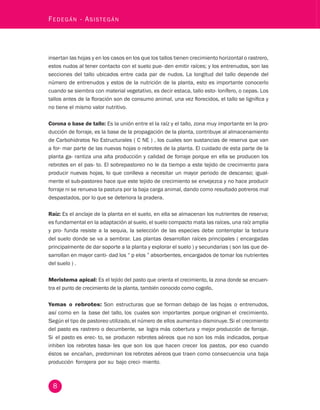 8 Fedegán - Asistegán insertan las hojas y en los casos en los que los tallos tienen crecimiento horizontal o rastrero, 
estos nudos al tener contacto con el suelo pue- den emitir raíces; y los entrenudos, son las 
secciones del tallo ubicados entre cada par de nudos. La longitud del tallo depende del 
número de entrenudos y estos de la nutrición de la planta, esto es importante conocerlo 
cuando se siembra con material vegetativo, es decir estaca, tallo esto- lonífero, o cepas. Los 
tallos antes de la floración son de consumo animal, una vez florecidos, el tallo se lignifica y 
no tiene el mismo valor nutritivo. 
Corona o base de tallo: Es la unión entre el la raíz y el tallo, zona muy importante en la pro-ducción 
de forraje, es la base de la propagación de la planta, contribuye al almacenamiento 
de Carbohidratos No Estructurales ( C NE ) , los cuales son sustancias de reserva que van 
a for- mar parte de las nuevas hojas o rebrotes de la planta. El cuidado de esta parte de la 
planta ga- rantiza una alta producción y calidad de forraje porque en ella se producen los 
rebrotes en el pas- to. El sobrepastoreo no le da tiempo a este tejido de crecimiento para 
producir nuevas hojas, lo que conlleva a necesitar un mayor periodo de descanso; igual-mente 
el sub-pastoreo hace que este tejido de crecimiento se envejezca y no hace producir 
forraje ni se renueva la pastura por la baja carga animal, dando como resultado potreros mal 
despastados, por lo que se deteriora la pradera. 
Raíz: Es el anclaje de la planta en el suelo, en ella se almacenan los nutrientes de reserva; 
es fundamental en la adaptación al suelo, el suelo compacto mata las raíces, una raíz amplia 
y pro- funda resiste a la sequia, la selección de las especies debe contemplar la textura 
del suelo donde se va a sembrar. Las plantas desarrollan raíces principales ( encargadas 
principalmente de dar soporte a la planta y explorar el suelo ) y secundarias ( son las que de-sarrollan 
en mayor canti- dad los “ p elos ” absorbentes, encargados de tomar los nutrientes 
del suelo ) . 
Meristema apical: Es el tejido del pasto que orienta el crecimiento, la zona donde se encuen-tra 
el punto de crecimiento de la planta, también conocido como cogollo. 
Yemas o rebrotes: Son estructuras que se forman debajo de las hojas o entrenudos, 
así como en la base del tallo, los cuales son importantes porque originan el crecimiento. 
Según el tipo de pastoreo utilizado, el número de ellos aumenta o disminuye. Si el crecimiento 
del pasto es rastrero o decumbente, se logra más cobertura y mejor producción de forraje. 
Si el pasto es erec- to, se producen rebrotes aéreos que no son los más indicados, porque 
inhiben los rebrotes basa- les que son los que hacen crecer los pastos, por eso cuando 
éstos se encañan, predominan los rebrotes aéreos que traen como consecuencia una baja 
producción forrajera por su bajo creci- miento. 
 