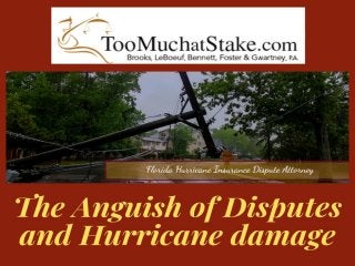 Visit and meet the experienced lawyers of Hurricane Michael Damage in Tallahassee