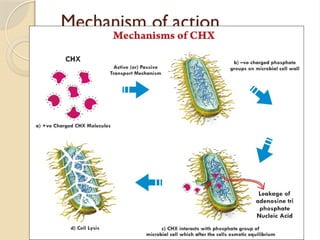 Mechanism of action
 