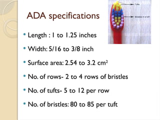ADA specifications
 Length : 1 to 1.25 inches
 Width: 5/16 to 3/8 inch
 Surface area: 2.54 to 3.2 cm2
 No. of rows- 2 to 4 rows of bristles
 No. of tufts- 5 to 12 per row
 No. of bristles: 80 to 85 per tuft
 