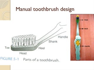 Manual toothbrush design
 