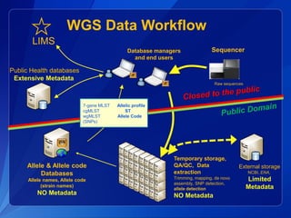 Wgs The path to implementation of Whole Genome Sequencing (WGS) in PulseNet ...