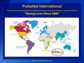 PulseNet International
The international subtyping network of national and regional networks for foodborne disease surveil...