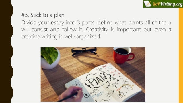 Usf essay prompt picture