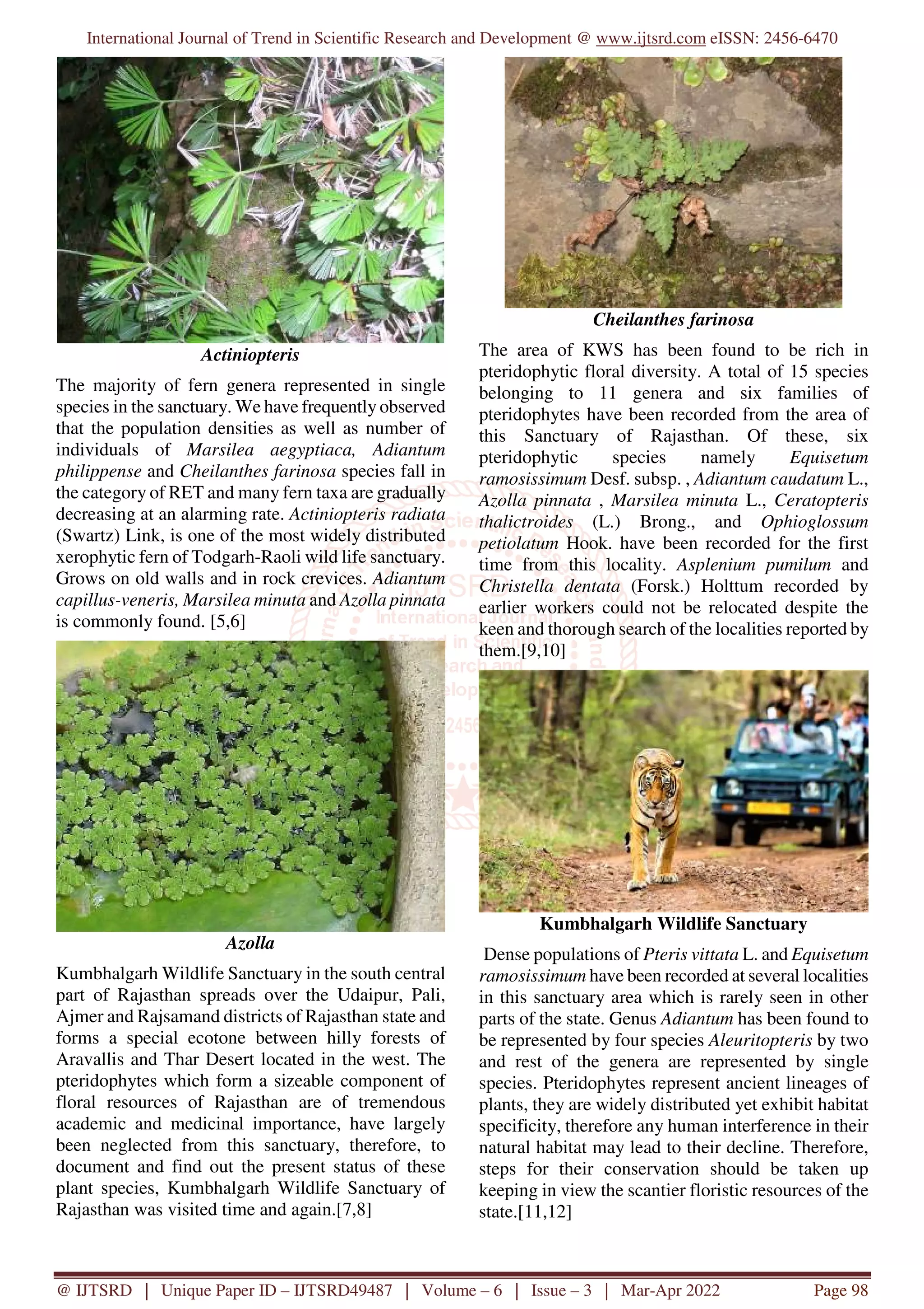 Pteridophytic Flora of Rajasthan A Review | PDF