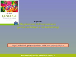 Capitolo 17 Regolazione dell’espressione genica nei batteri e nei batteriofagi Peter J Russell,  Genetica  © 2010 Pearson Italia S.p.A http://web.unife.it/progetti/genetica/Guido/index.php?lng=it&p=4 