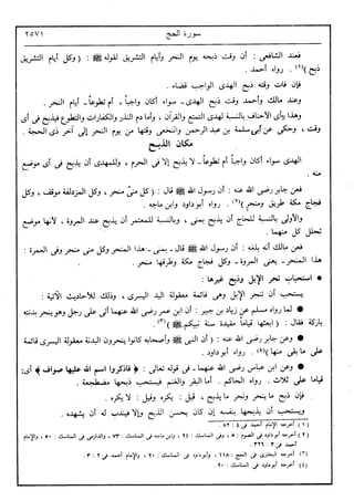 في رحاب التفسير- الجزء السابع عشر