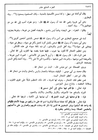 في رحاب التفسير- الجزء السابع عشر