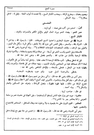في رحاب التفسير- الجزء السابع عشر