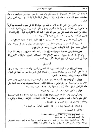 في رحاب التفسير- الجزء السابع عشر